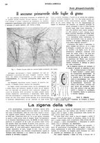 giornale/CFI0410531/1928/unico/00000176