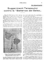 giornale/CFI0410531/1928/unico/00000193