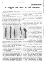 giornale/CFI0410531/1928/unico/00000212