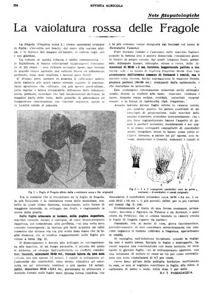 La rivista agricola industriale finanziaria commerciale