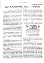 giornale/CFI0410531/1928/unico/00000281