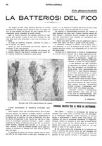 giornale/CFI0410531/1928/unico/00000300