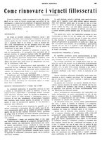 giornale/CFI0410531/1928/unico/00000355