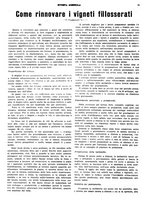 giornale/CFI0410531/1928/unico/00000389