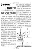 giornale/CFI0410531/1929/unico/00000017