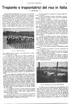 giornale/CFI0410531/1929/unico/00000033