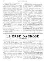 giornale/CFI0410531/1929/unico/00000146