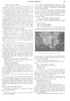 giornale/CFI0410531/1929/unico/00000151