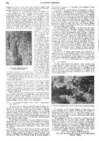giornale/CFI0410531/1929/unico/00000214