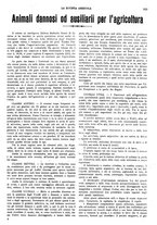 giornale/CFI0410531/1929/unico/00000235