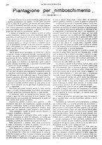 giornale/CFI0410531/1929/unico/00000262