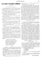 giornale/CFI0410531/1929/unico/00000265