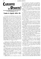 giornale/CFI0410531/1929/unico/00000272