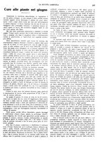 giornale/CFI0410531/1929/unico/00000299