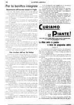 giornale/CFI0410531/1929/unico/00000382