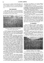 giornale/CFI0410531/1929/unico/00000656