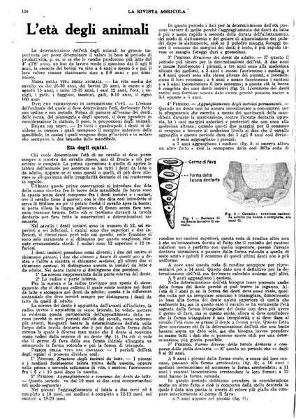 La rivista agricola industriale finanziaria commerciale