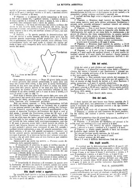 La rivista agricola industriale finanziaria commerciale