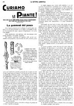 giornale/CFI0410531/1930/unico/00000182