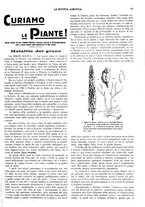 giornale/CFI0410531/1930/unico/00000237