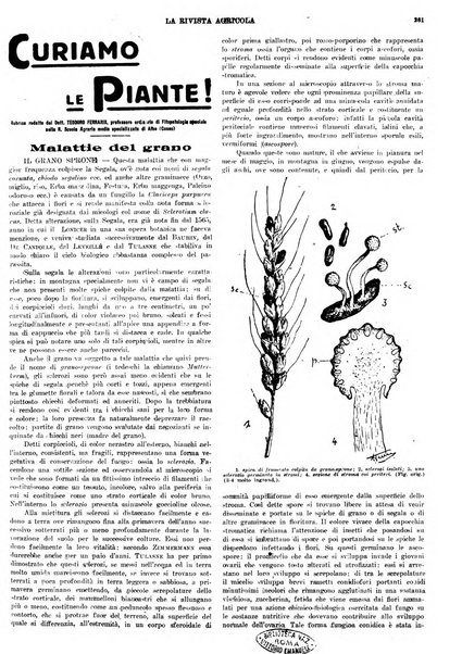 La rivista agricola industriale finanziaria commerciale