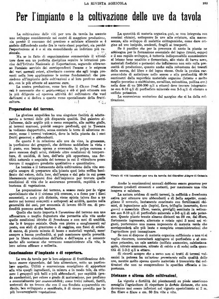 La rivista agricola industriale finanziaria commerciale