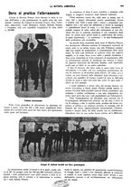 giornale/CFI0410531/1930/unico/00000313