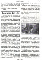 giornale/CFI0410531/1930/unico/00000385