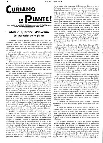 La rivista agricola industriale finanziaria commerciale