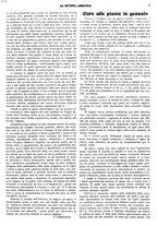 giornale/CFI0410531/1931/unico/00000021