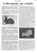 giornale/CFI0410531/1931/unico/00000041