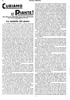 giornale/CFI0410531/1931/unico/00000044