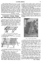 giornale/CFI0410531/1931/unico/00000089