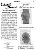 giornale/CFI0410531/1931/unico/00000091