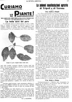 giornale/CFI0410531/1931/unico/00000153