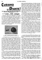 giornale/CFI0410531/1931/unico/00000162