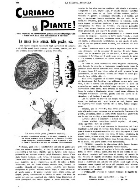 La rivista agricola industriale finanziaria commerciale