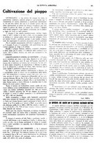 giornale/CFI0410531/1931/unico/00000375