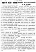 giornale/CFI0410531/1931/unico/00000408