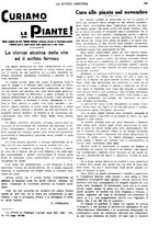 giornale/CFI0410531/1931/unico/00000457