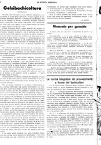 giornale/CFI0410531/1933/unico/00000016