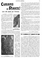 giornale/CFI0410531/1933/unico/00000017