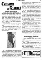 giornale/CFI0410531/1933/unico/00000057