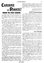 giornale/CFI0410531/1933/unico/00000135
