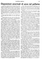 giornale/CFI0410531/1933/unico/00000279