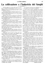 giornale/CFI0410531/1933/unico/00000281