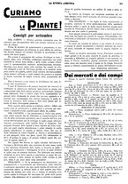 giornale/CFI0410531/1933/unico/00000341