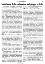 giornale/CFI0410531/1933/unico/00000379