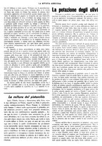 giornale/CFI0410531/1933/unico/00000419