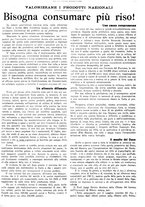 giornale/CFI0410531/1934/unico/00000013